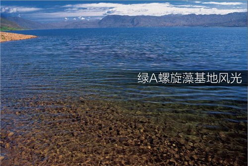 科創實力領先,綠a被認定為 專精特新中小企業