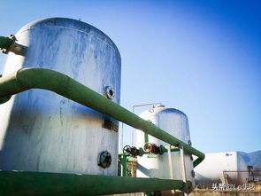 第三屆程海水環(huán)境保護(hù)研討會(huì)召開(kāi) 綠a增殖放流助力程海湖環(huán)保發(fā)展