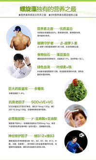 禾博士 純天然螺旋藻咀嚼片 螺旋藻片增強免疫