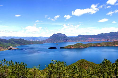 麗江濕地no.1,是哪個(gè)