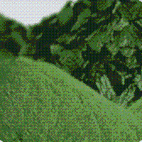 螺旋藻粉,螺旋藻,螺旋藻粉,螺旋藻精片生產(chǎn)供應(yīng)商 保健食品