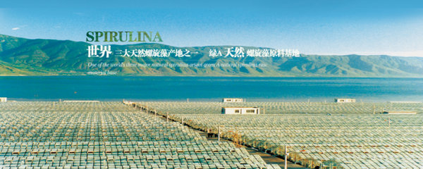 螺旋藻營養醫學論壇 產學研融合開啟產業進階之路