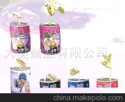 【寵物花卉,魔豆各地代理(圖)】?jī)r(jià)格,廠家,圖片,娛樂(lè)休閑產(chǎn)品代理加盟,大美禮品 -