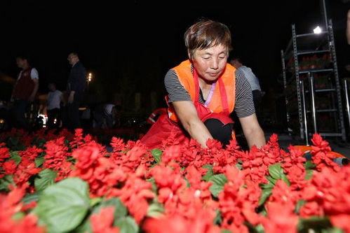巨幅鮮花黨旗展示光明食品集團花卉工廠力量